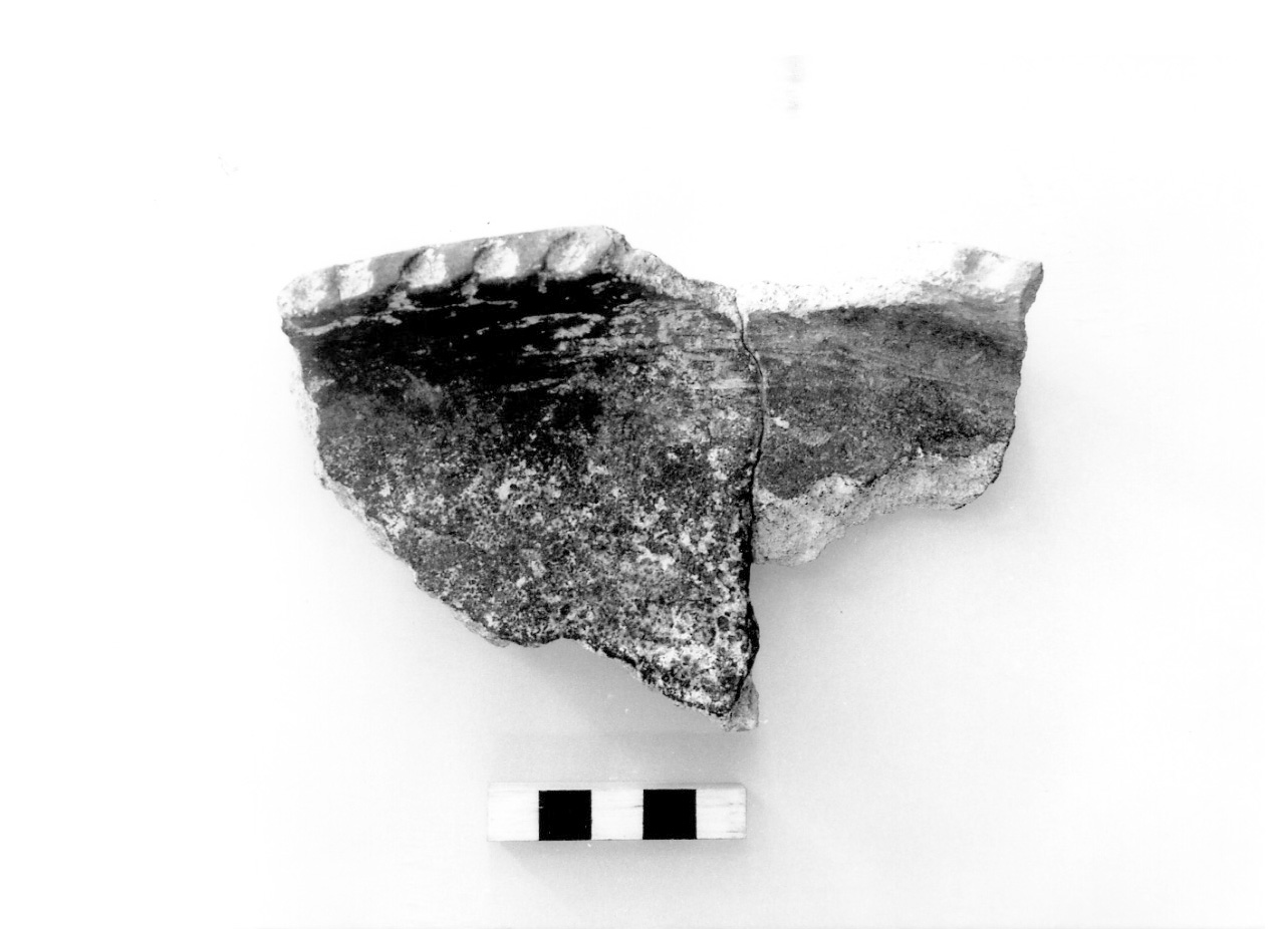 piatto - civiltà protovillanoviana/ età del bronzo finale (sec. X a.C)