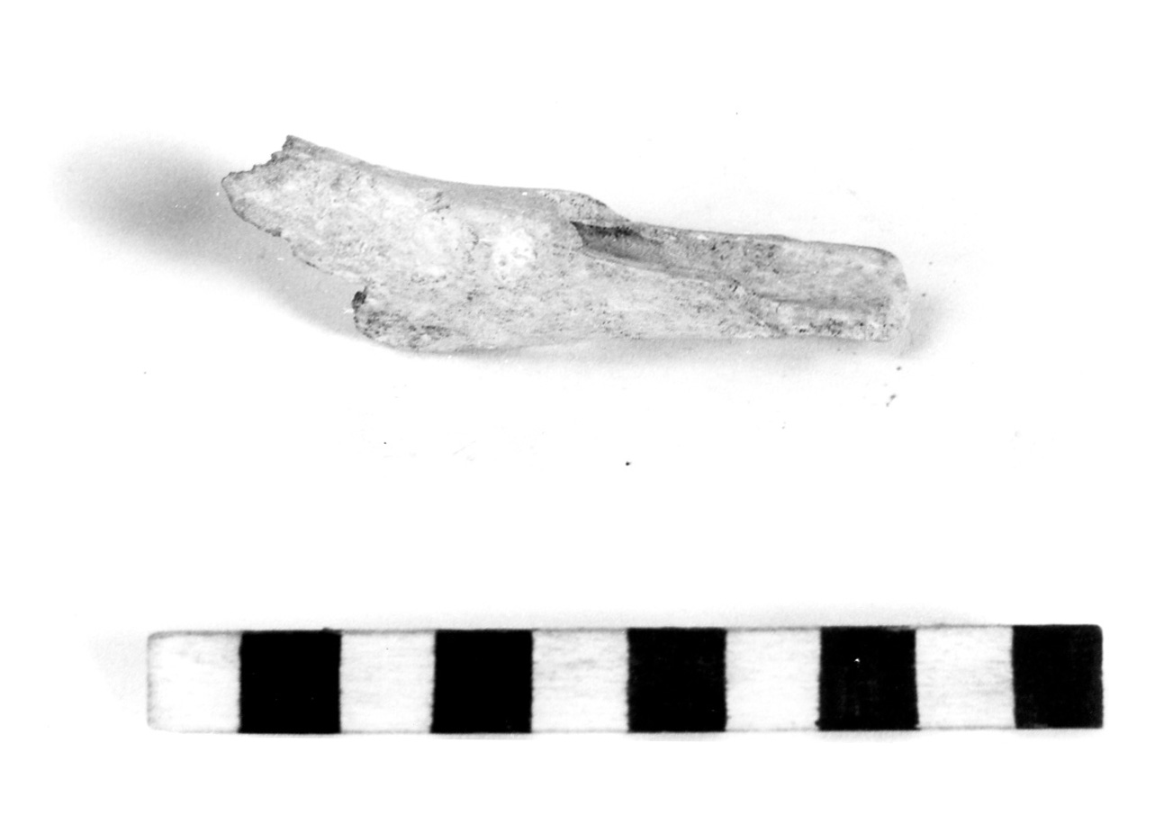 vanghetta - fase Piceno III/IV (secc. VII-VI a.C)