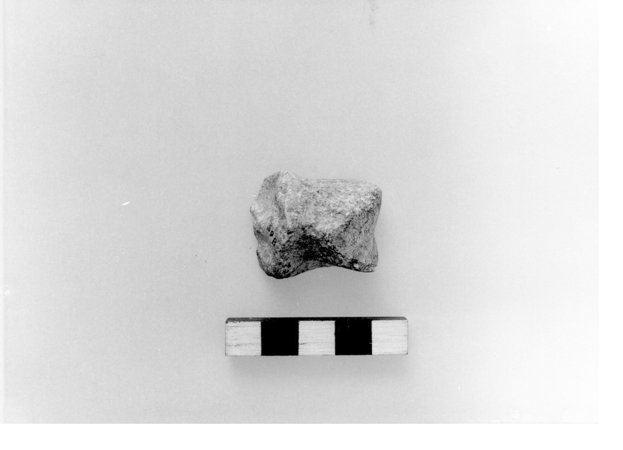 astragalo - fase Piceno I (sec. IX a.C)