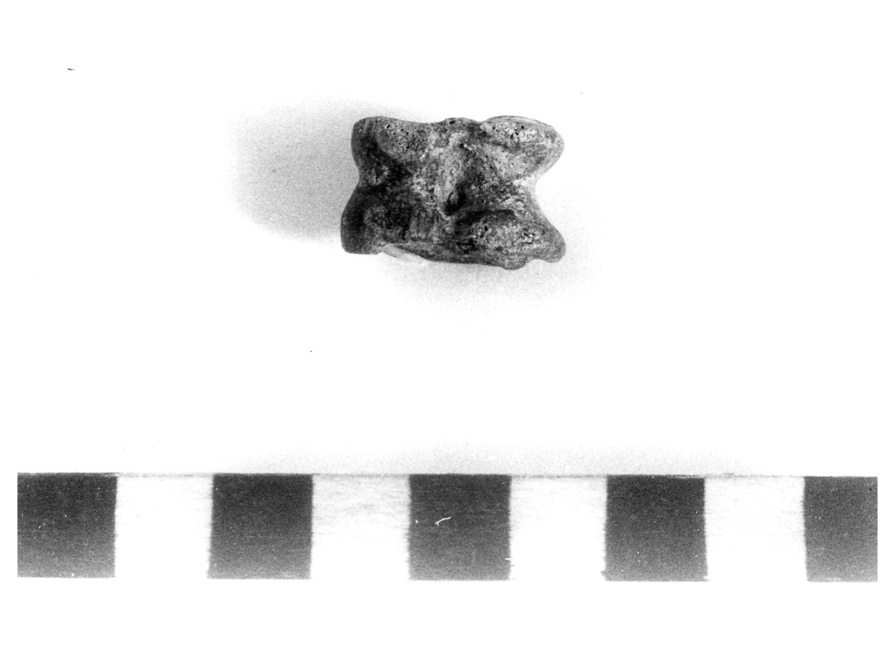 astragalo - fase Piceno IV (secc. VII-VI a.C)