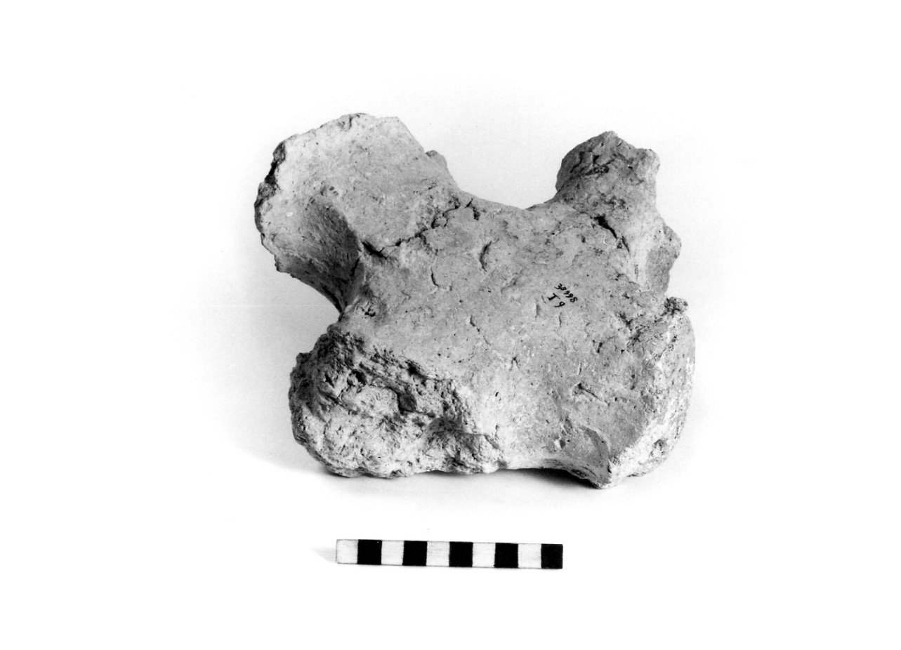 fornello - fase Piceno I-IV (secc. IX-VI a.C)