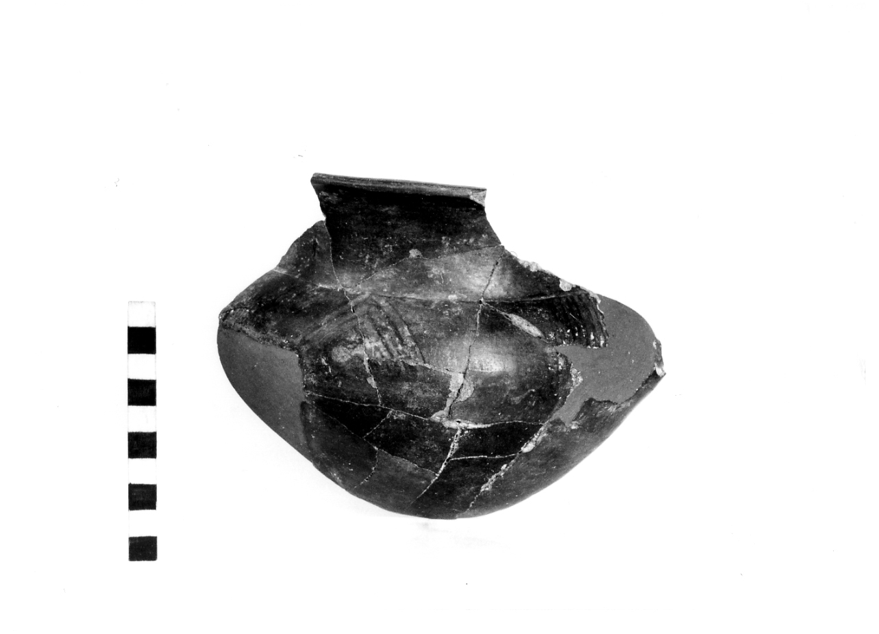 tazza a collo distinto - fase Piceno I (sec. IX a.C)