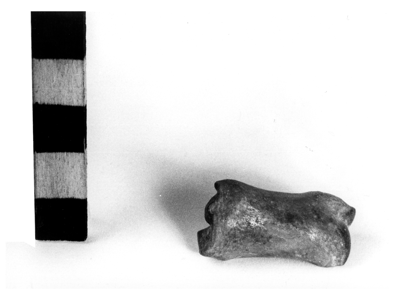 Falange - fase Piceno I (sec. IX a.C)