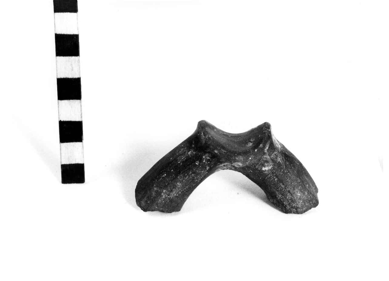 Ansa a maniglia - fase Piceno I (sec. IX a.C)