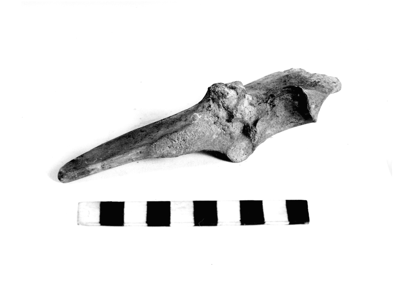 Punta - fase Piceno I (sec. IX a.C)