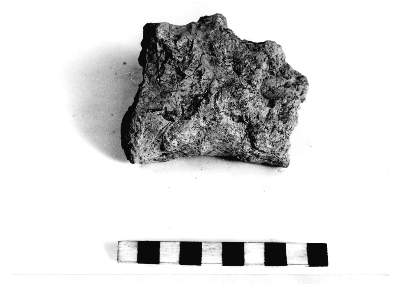 diaframma - fase Piceno I (sec. IX a.C)