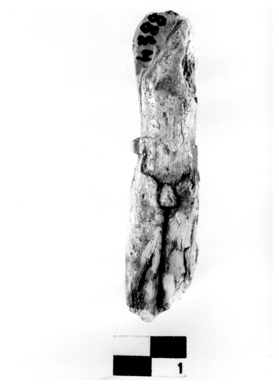 Kouros (statuetta) - fase Piceno IV A (primo quarto sec. VI a.C)