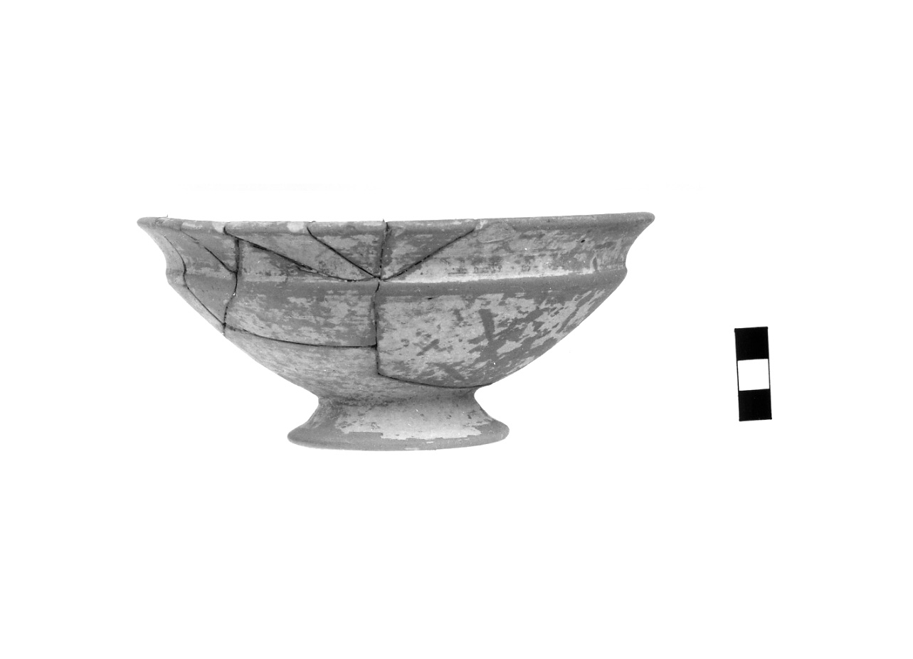 coppa - fase Piceno IV A (sec. VI a.C)