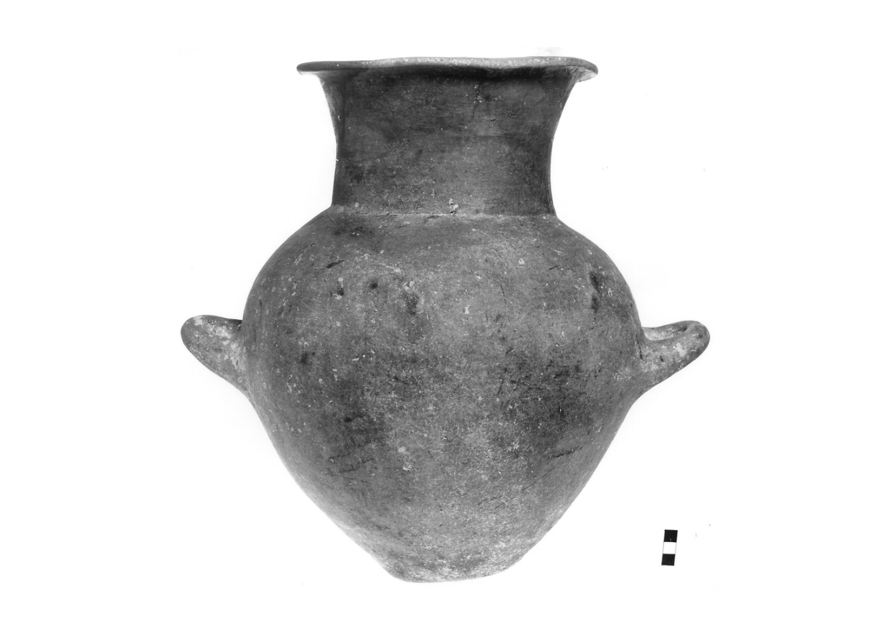 grande olla biansata - fase Piceno IV A (sec. VI a.C)