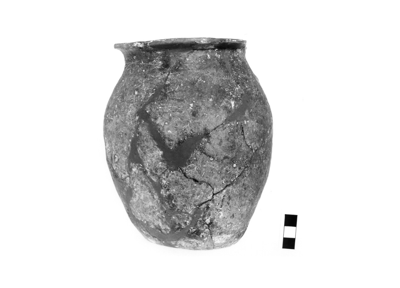 olla - fase Piceno IV A (sec. VI a.C)