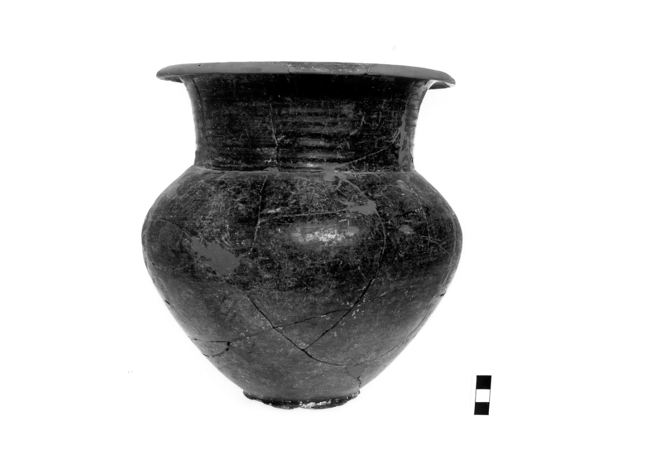 olla - fase Piceno IV A (sec. VI a.C)