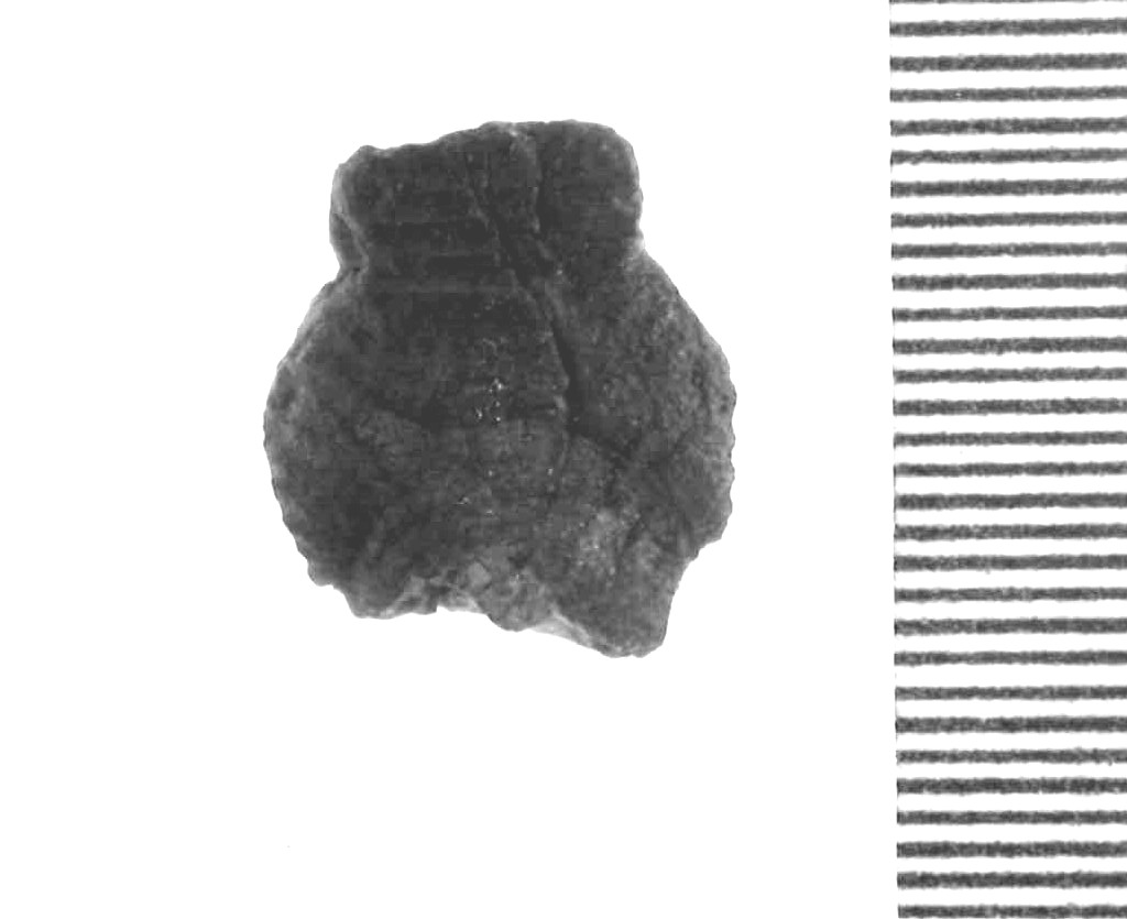 testa femminile (pendente) - Piceno IV A (sec. VI a.C)