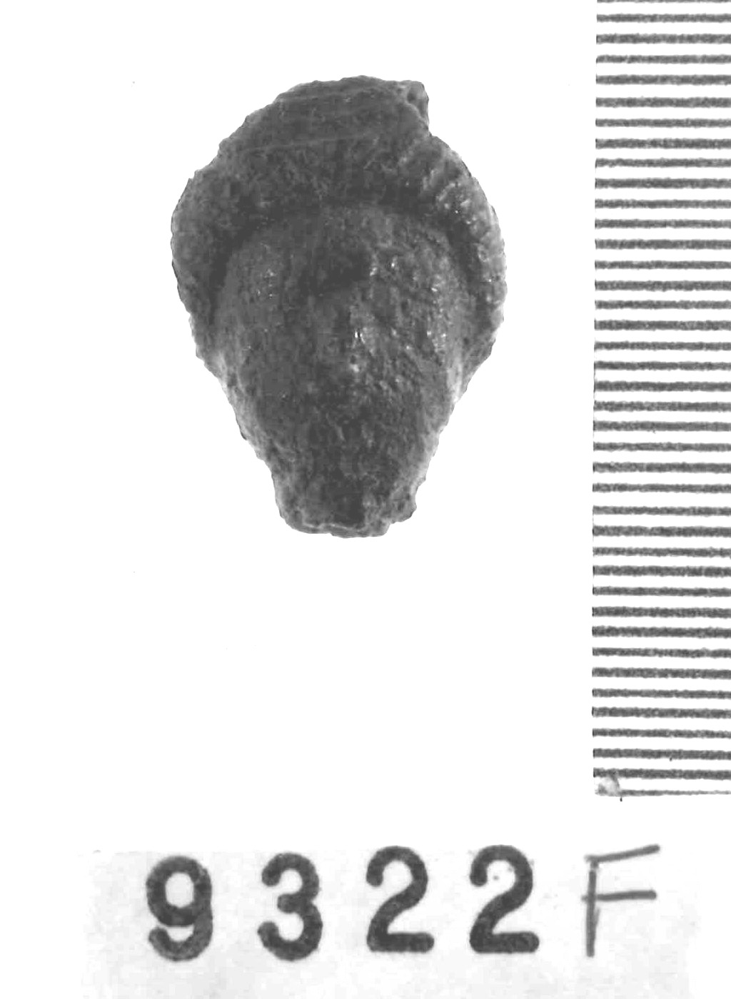 elemento di collana - Piceno IV A (sec. VI a.C)