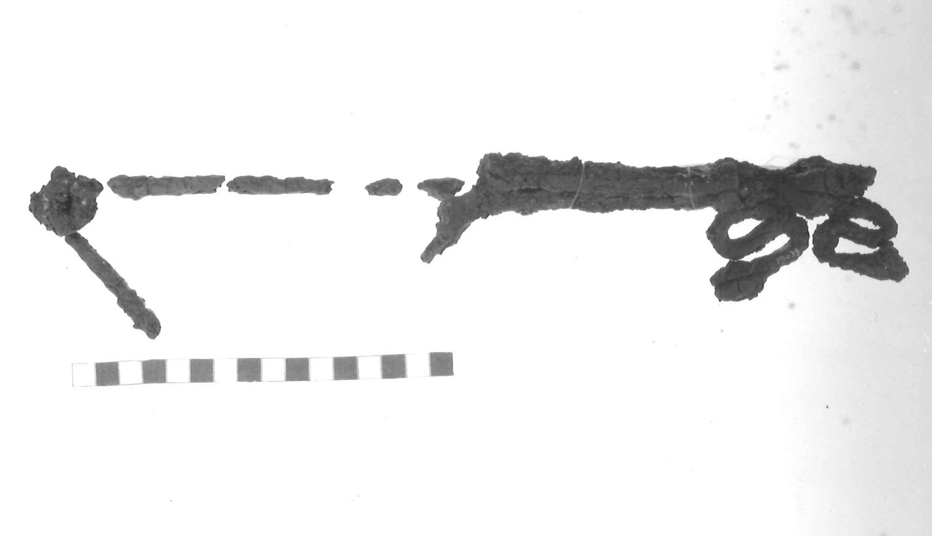 fibula con arco trapezoidale - Piceno IV A (sec. VI a.C)