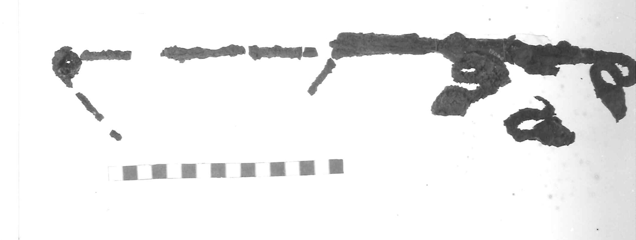 fibula con arco trapezoidale - Piceno IV A (sec. VI a.C)