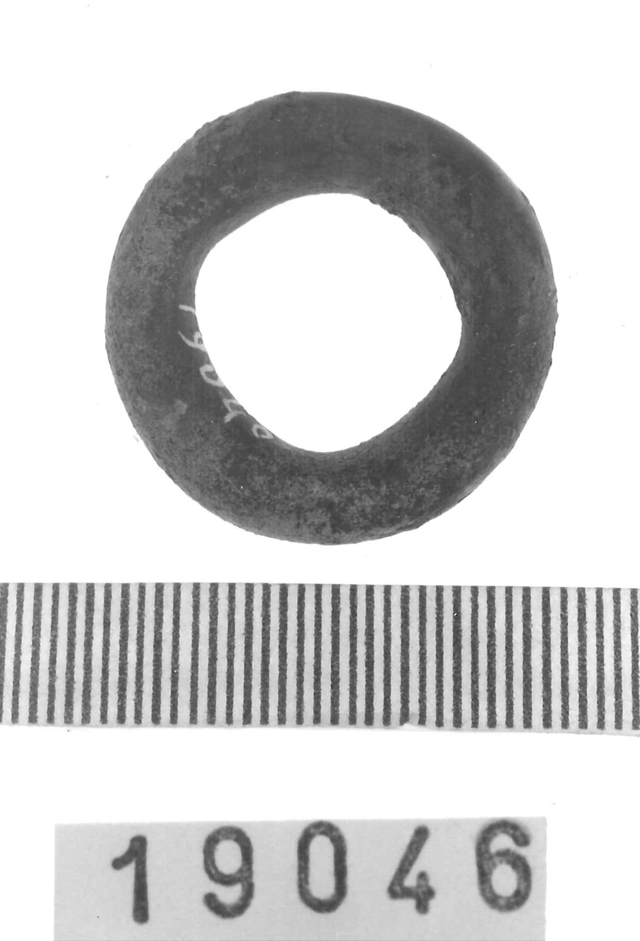 anellino - Piceno IV A (sec. VI a.C)