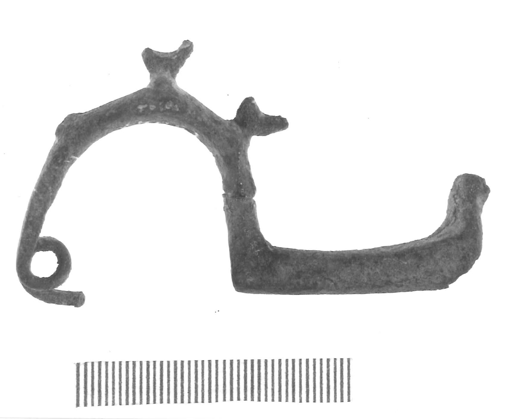 fibula con arco a tre uccellini - Piceno IV A (sec. VI a.C)