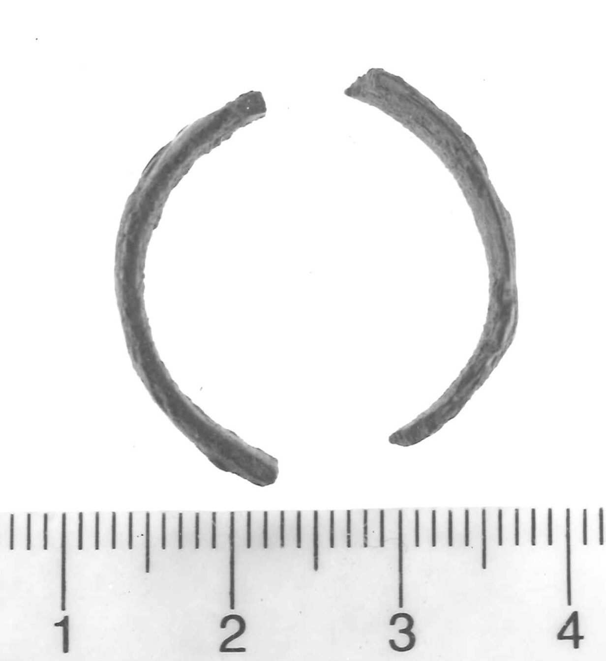 anello digitale a capi accostati - Piceno IV A (sec. VI a.C)