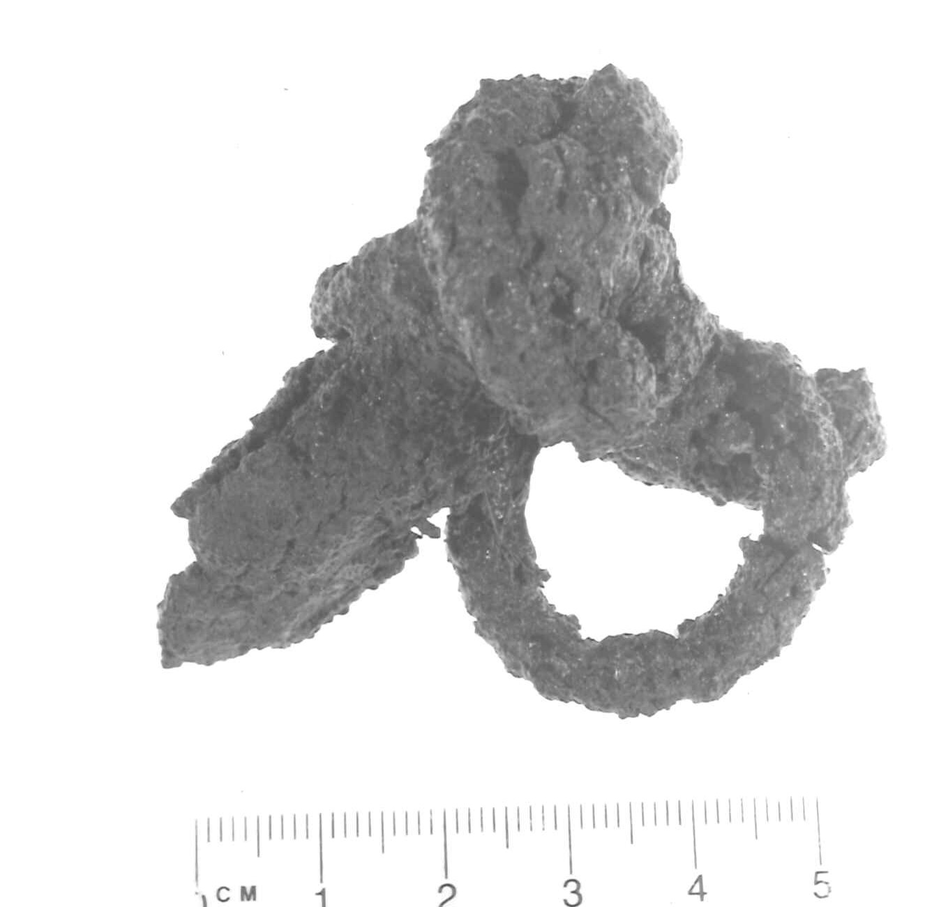 pendaglio - Piceno IV A (sec. VI a.C)