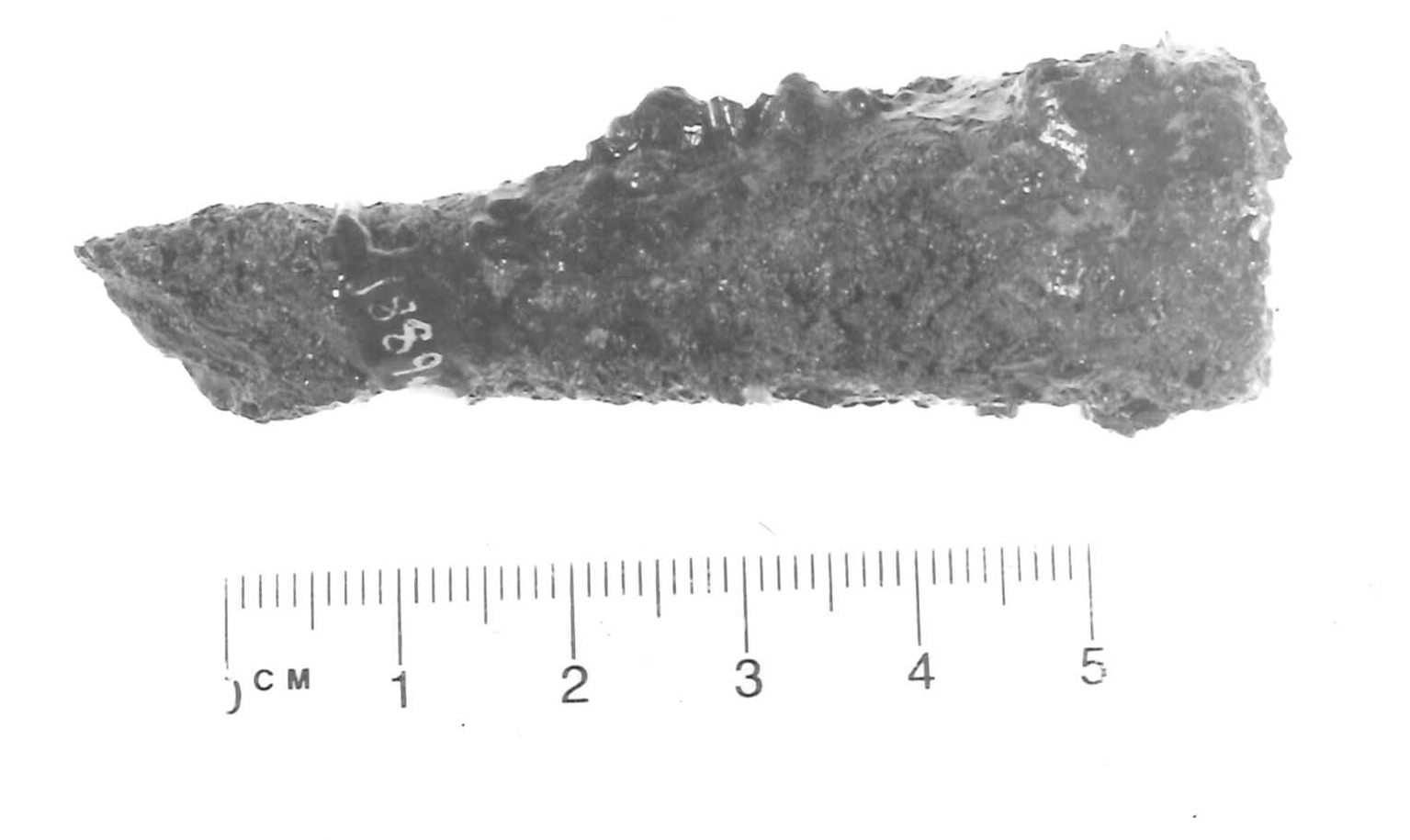 puntale/ frammento - Piceno IV A (sec. VI a.C)