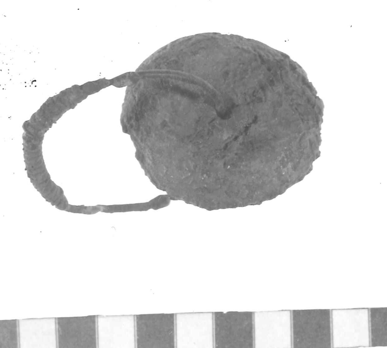 orecchino - Piceno IV A (sec. VI a.C)