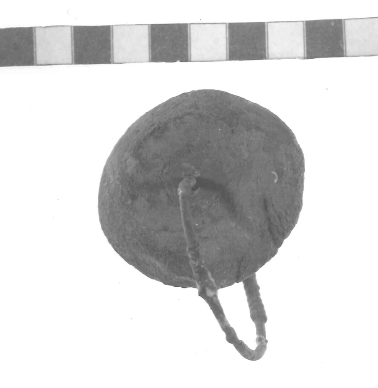 orecchino - Piceno IV A (sec. VI a.C)