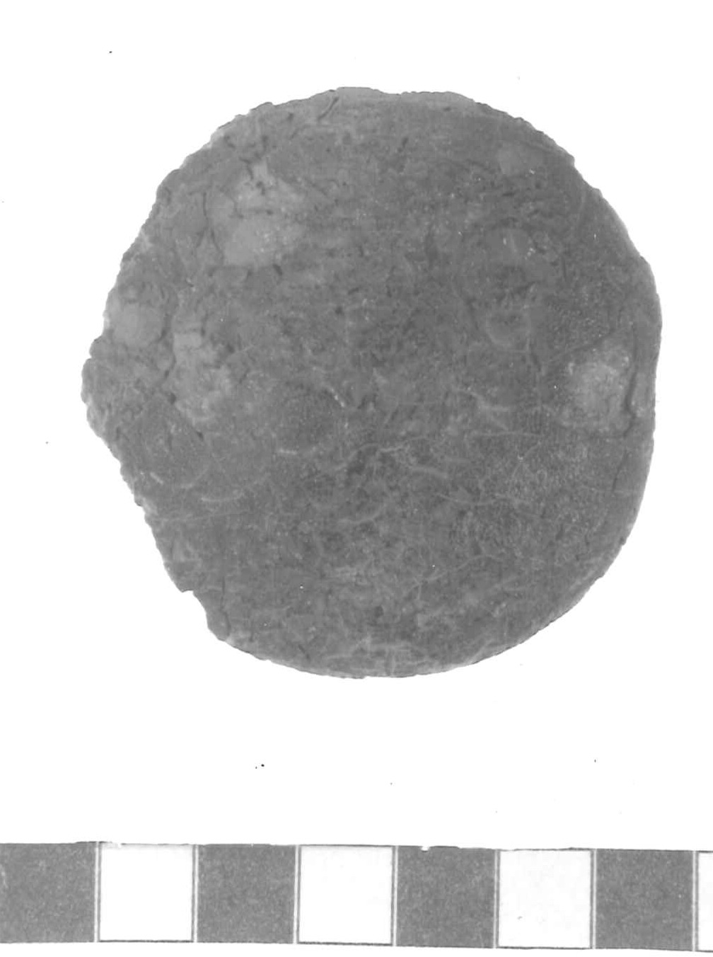 bottone - Piceno IV A (sec. VI a.C)