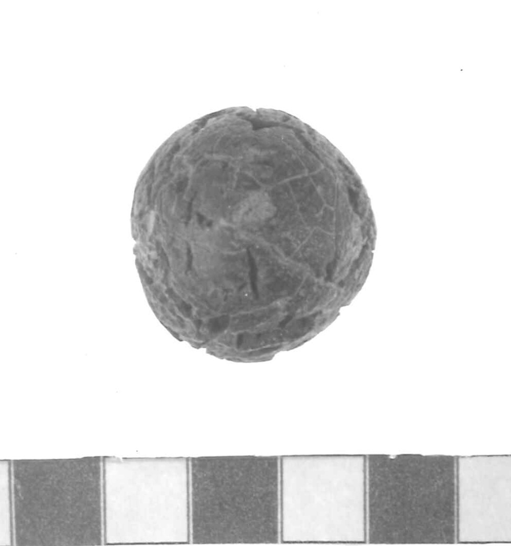 bottone - Piceno IV A (sec. VI a.C)