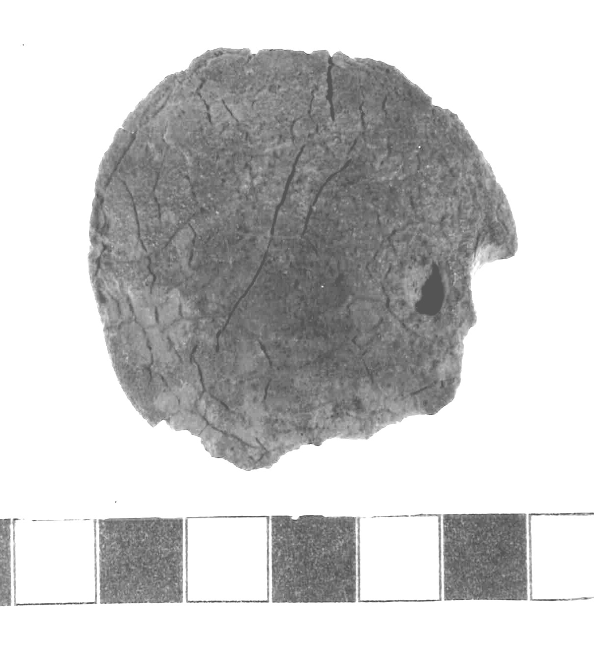 bottone - Piceno IV A (sec. VI a.C)