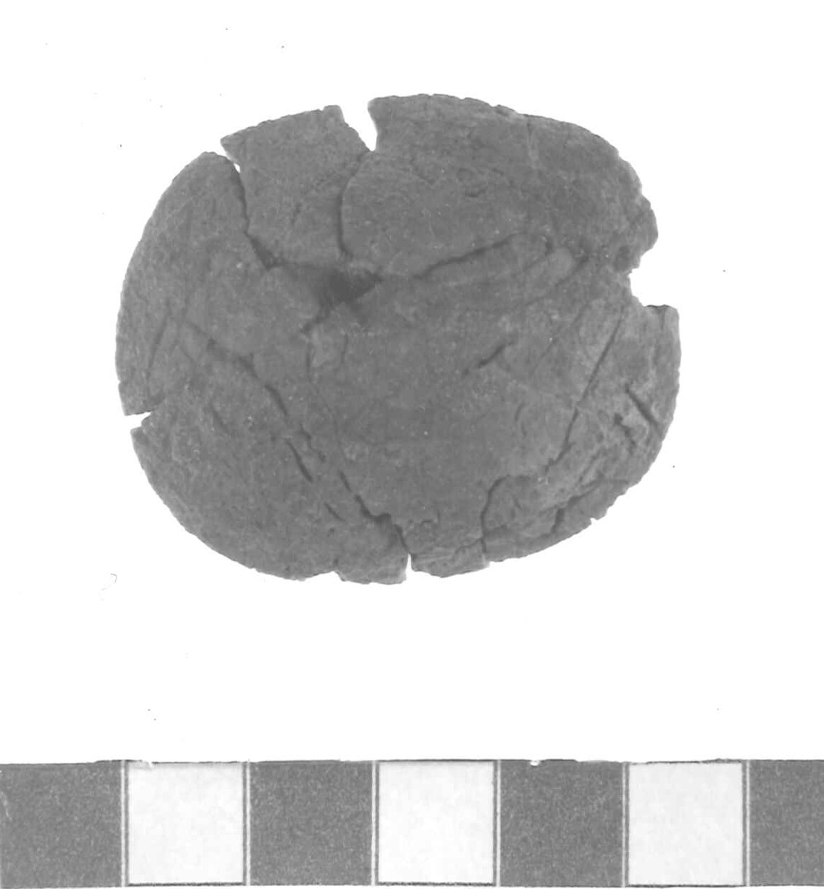 bottone - Piceno IV A (sec. VI a.C)