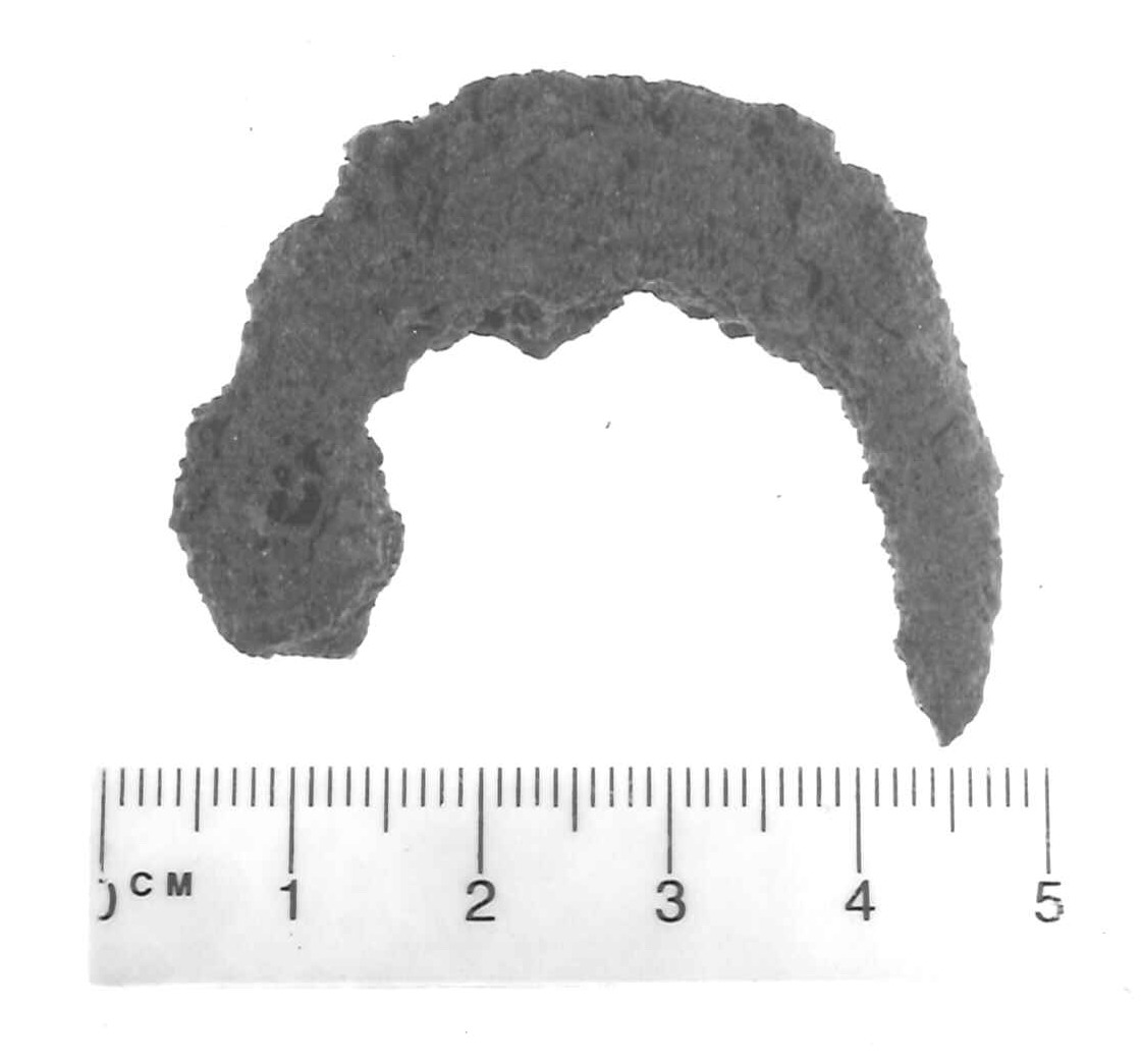 fibula ad arco ingrossato - Piceno IV A (sec. VI a.C)