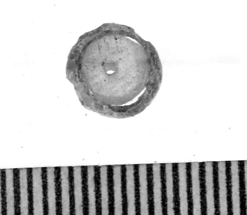 vago - Piceno IV A (sec. VI a.C)