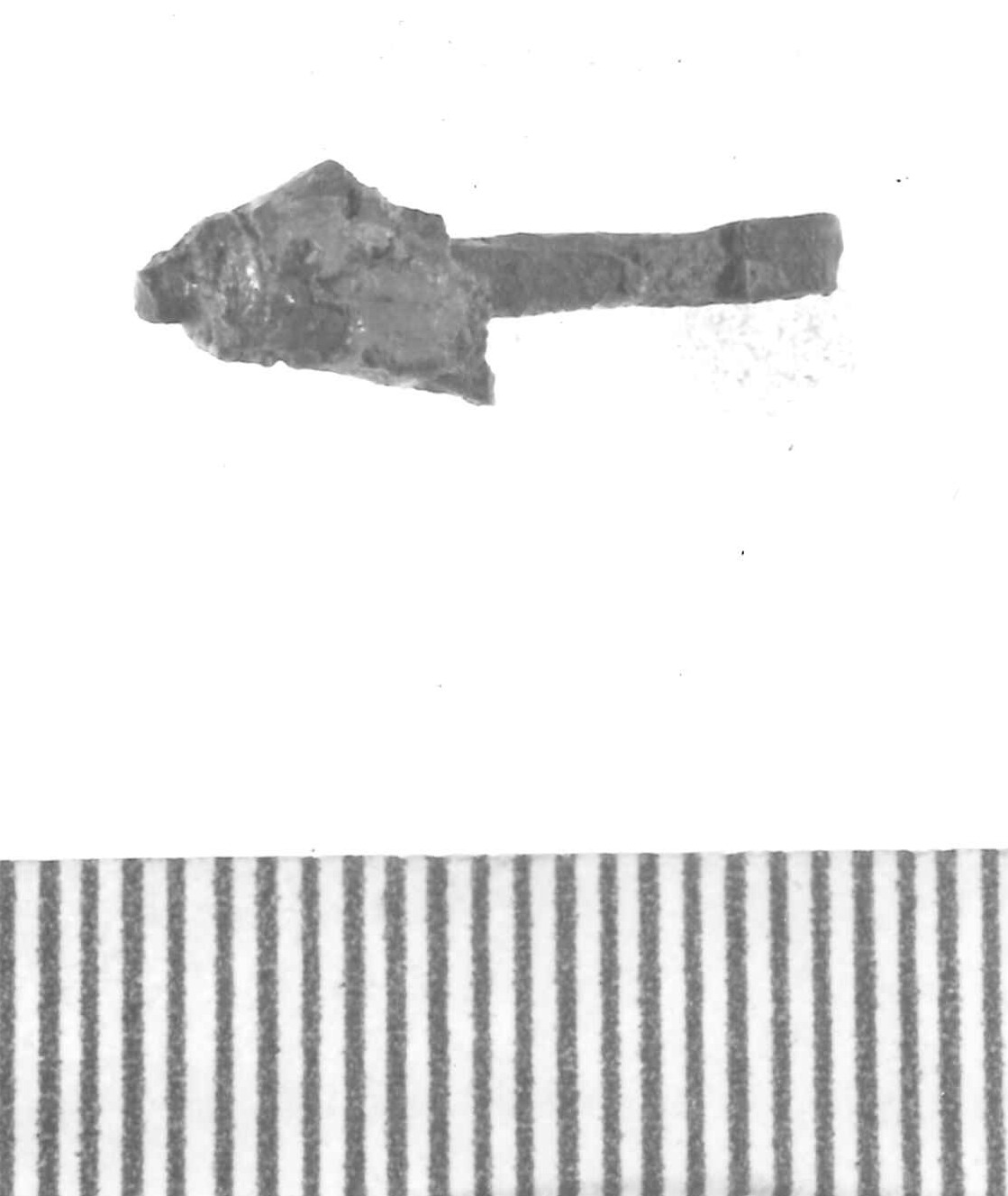 frammento non id - Piceno IV A (sec. VI a.C)