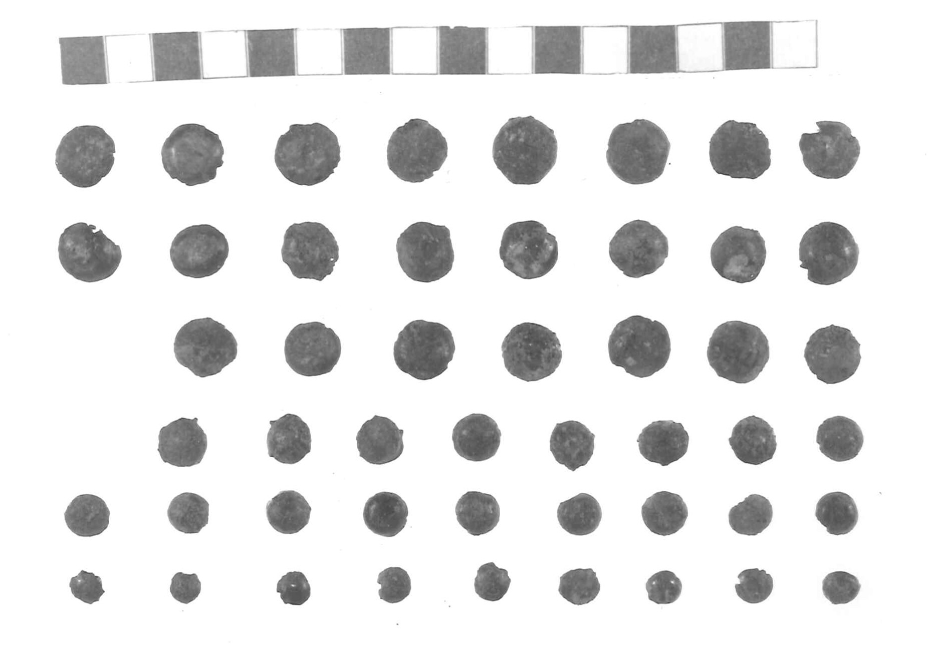 bottone a calotta/ serie - Piceno IV A (sec. VI a.C)