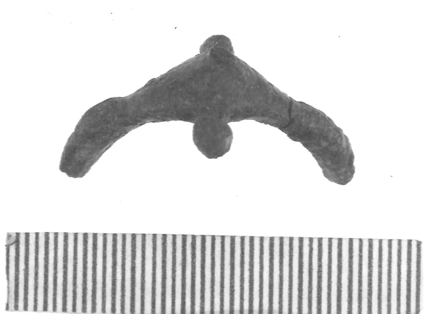 fibula a tre bottoni/ frammento - Piceno IV A (sec. VI a.C)