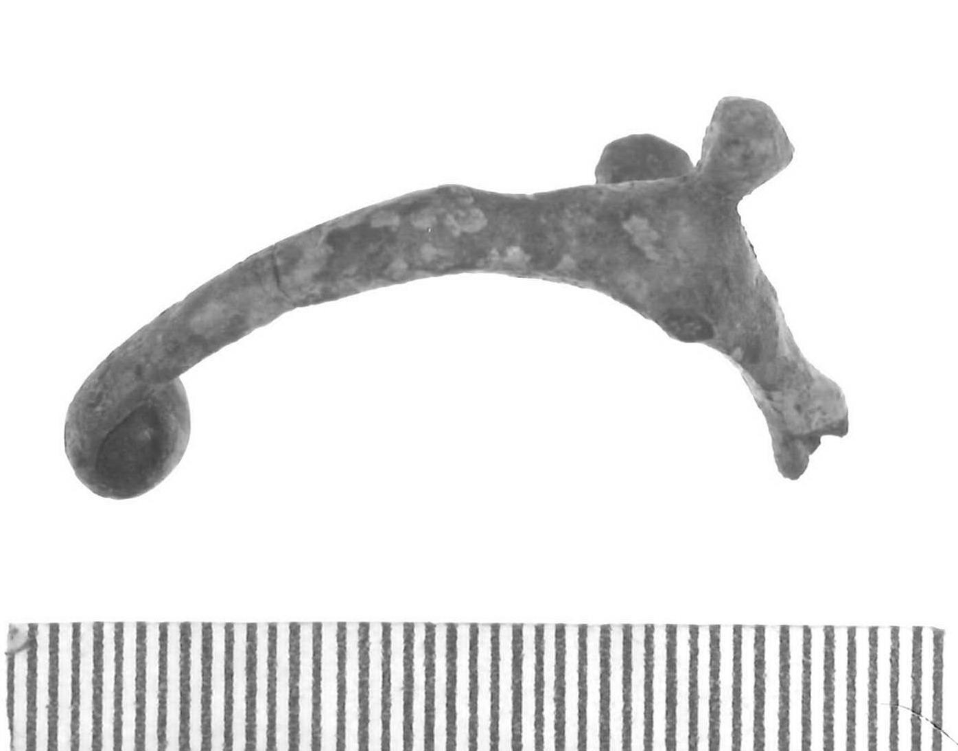 fibula a tre bottoni/ frammento - Piceno IV A (sec. VI a.C)