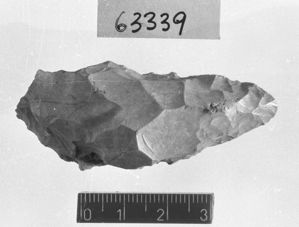 lama (Paleolitico medio)