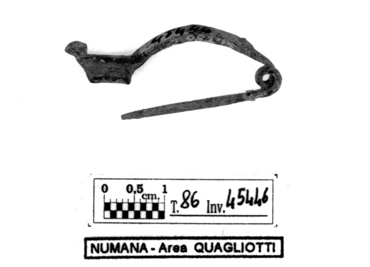 fibula tipo Certosa - fase Piceno V (fine sec. V a.C)