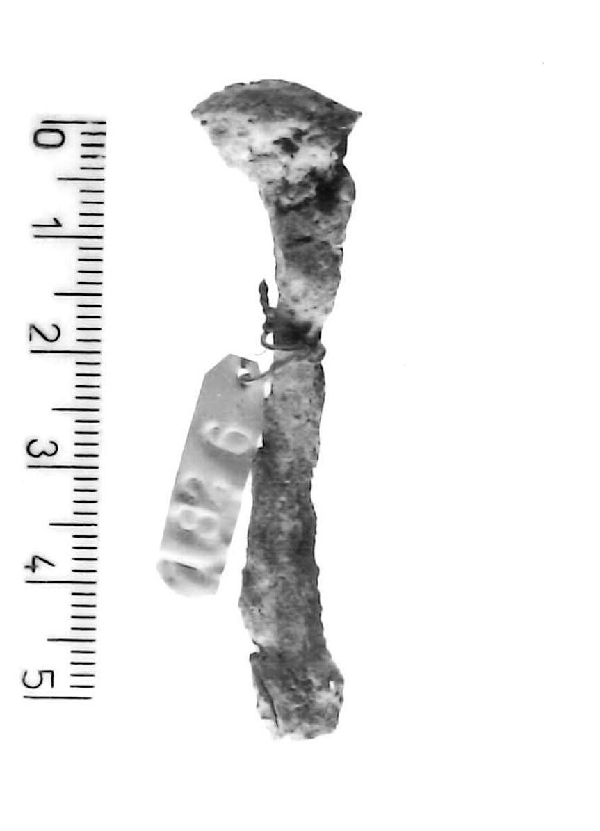 chiodo (sec. III a.C)