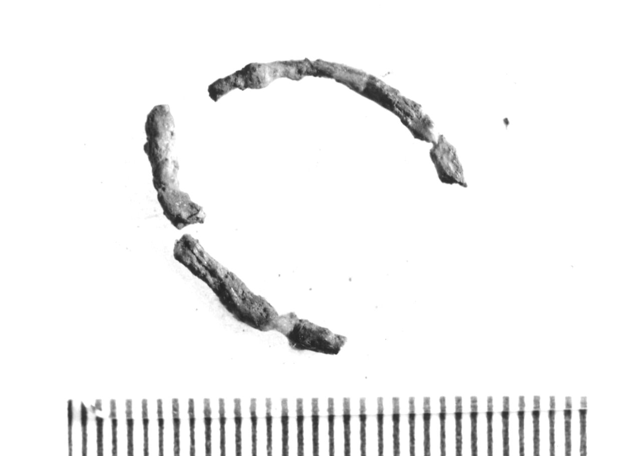 anellino - Piceno VI (inizio sec. III a.C)