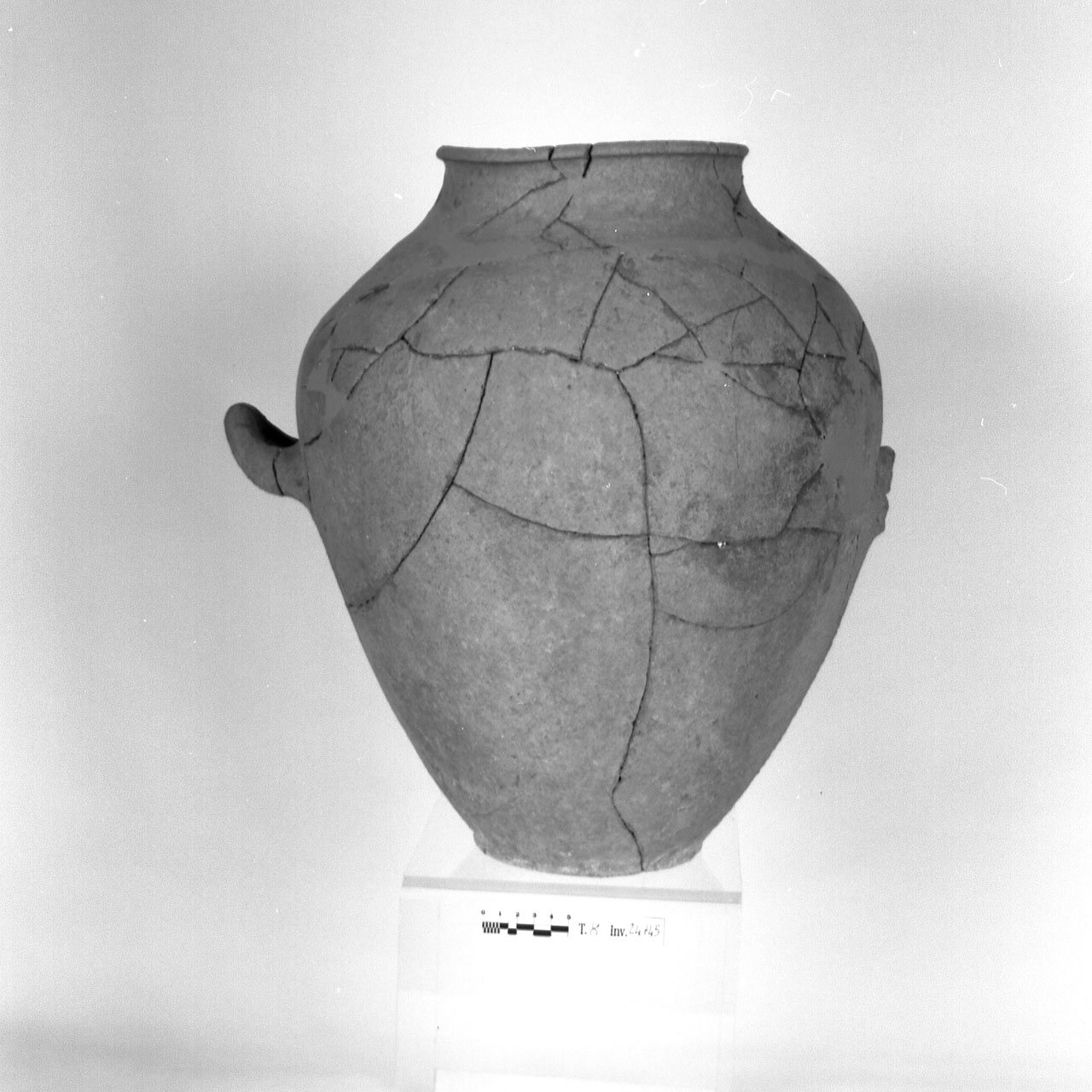 stamnos - produzione locale (seconda metà sec. IV a.C)