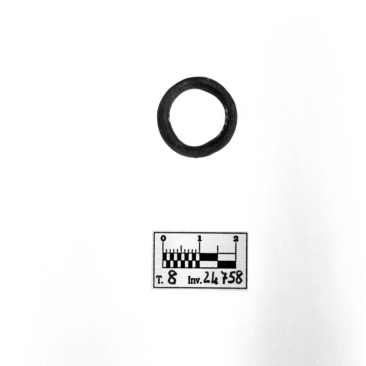 anello - fase Piceno VI (seconda metà sec. IV a.C)