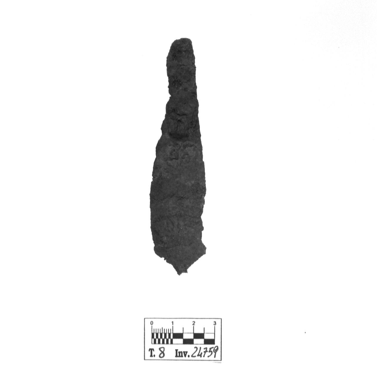 coltello - fase Piceno VI (seconda metà sec. IV a.C)