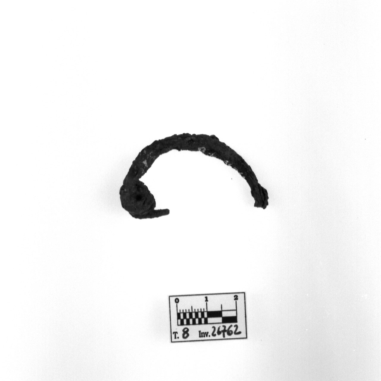 fibula - fase Piceno VI (seconda metà sec. IV a.C)