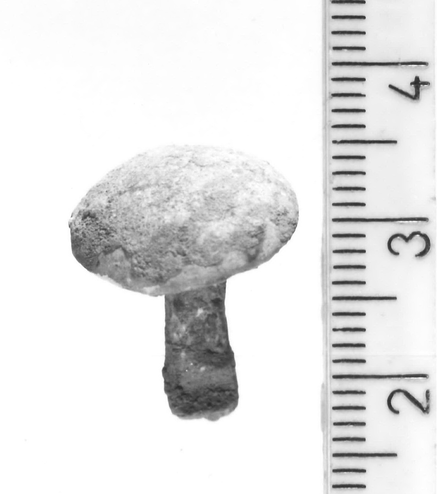 chiodo (metà sec. IV a.C)