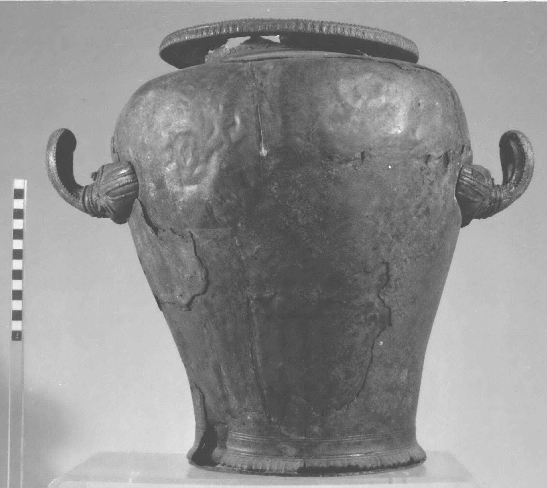 stamnos - botteghe celtiche dell'Italia centrale (sec. IV a.C)