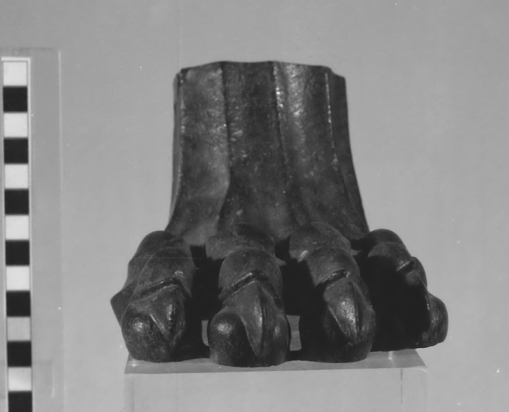 piede felino (piede di tripode) (sec. IV a.C)