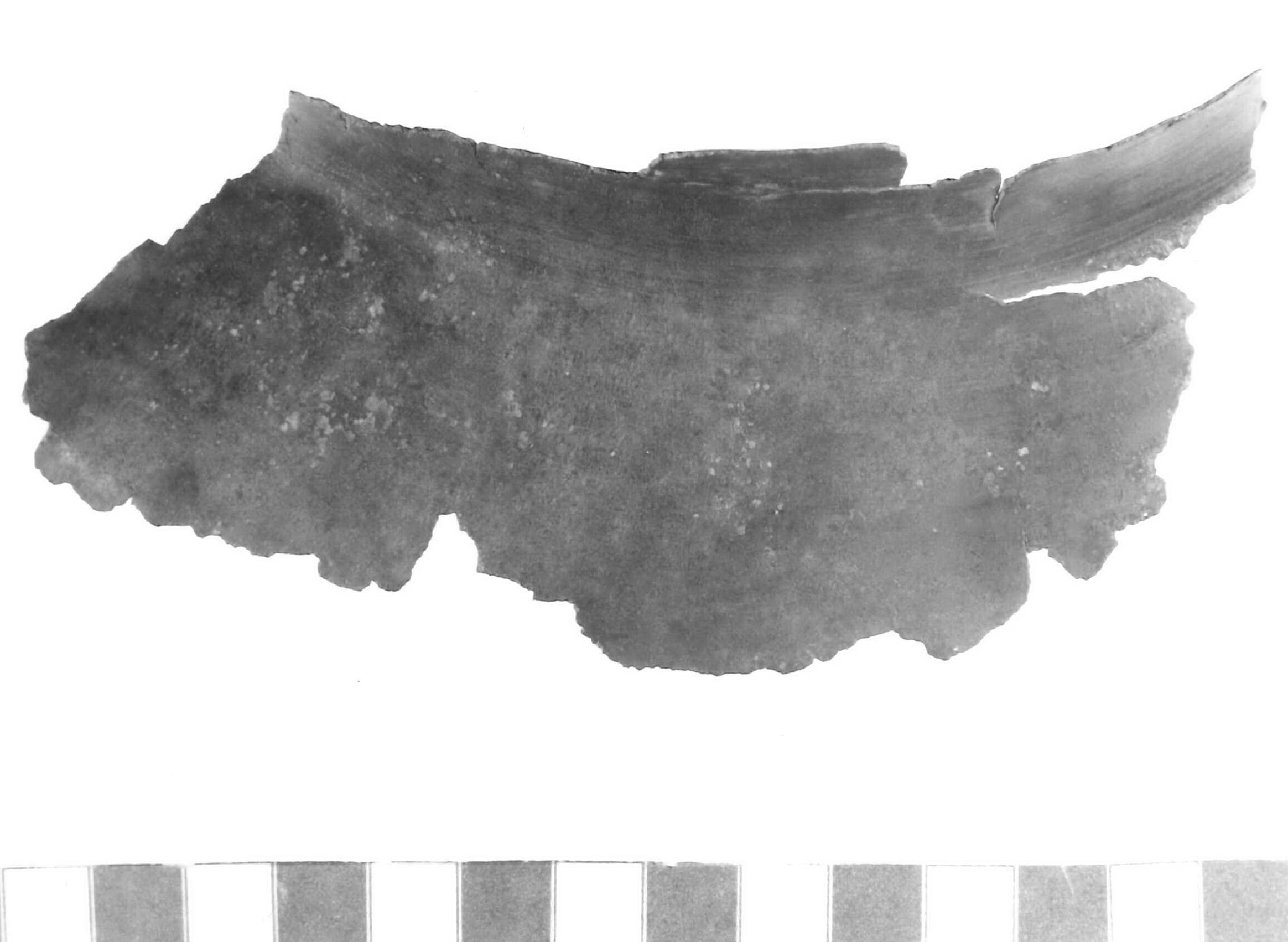 collo di stamnos/ frammento (prima metà sec. IV a.C)