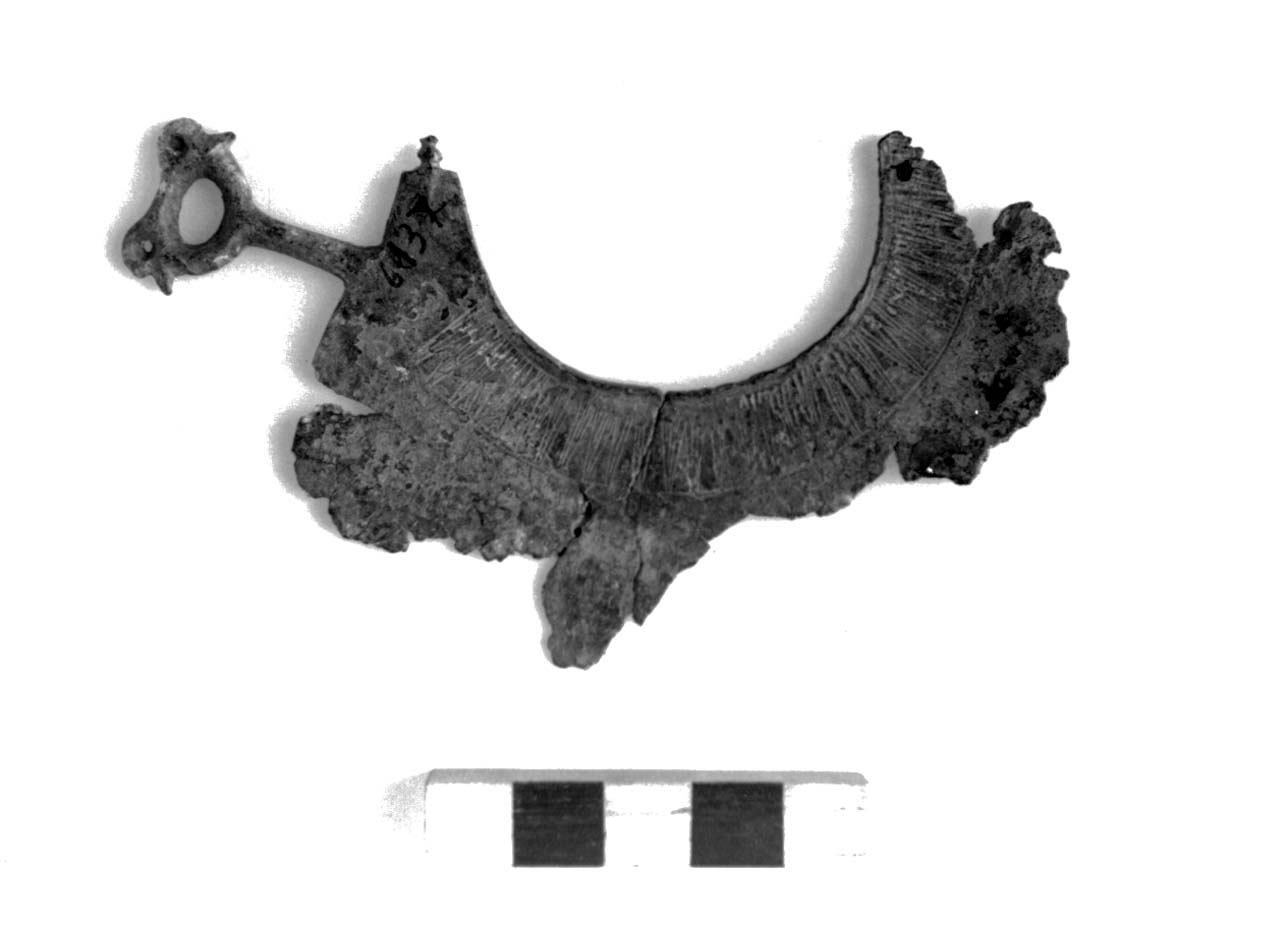 rasoio lunato con dorso a curva continua, Bianco Peroni, tipo grotta Gramiccia, varietà B - fase Piceno II (prima metà sec. VIII a.C)