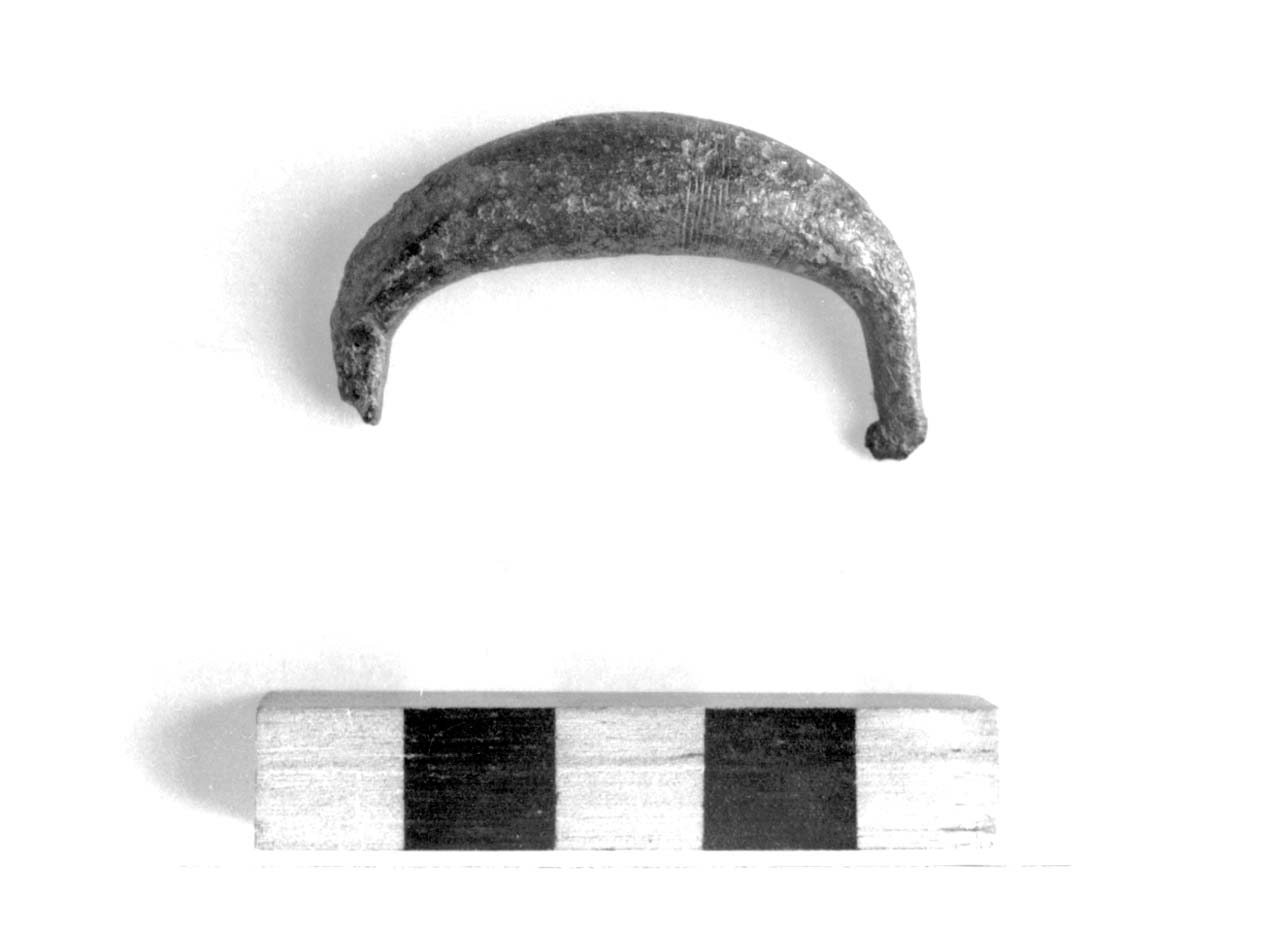 fibula ad arco ingrossato, Sundwall, tipo B II ad - fase Piceno II (sec. VIII a.C)